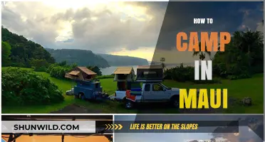 Ultimate Guide to Camping in Maui: Tips, Locations, and Essentials
