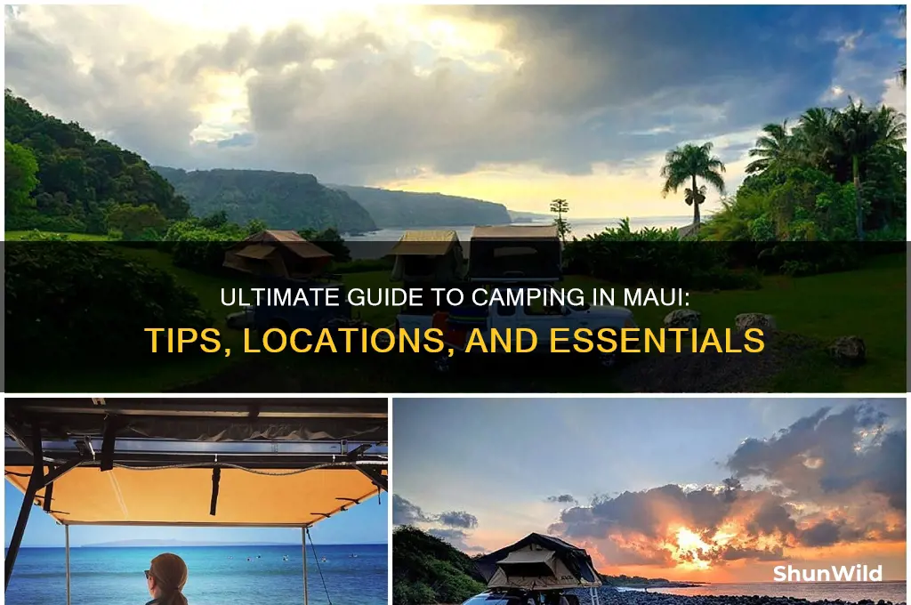 how to camp in maui