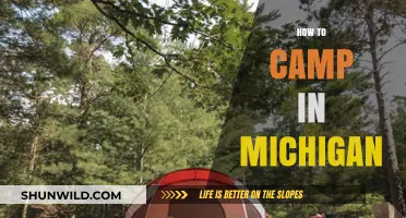 Ultimate Guide to Camping in Michigan: Tips, Spots, and Essentials