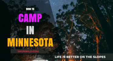 Camping in Minnesota: Essential Tips for an Unforgettable Outdoor Adventure