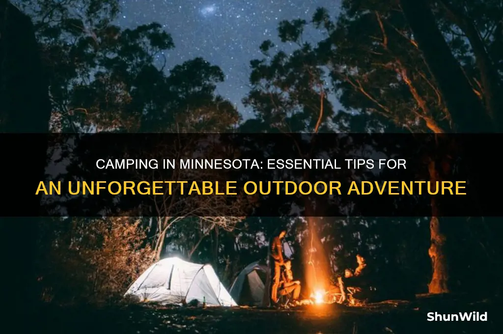how to camp in minnesota