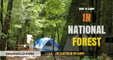 Exploring the Wilderness: A Guide to Camping in National Forests