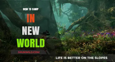 Exploring the New World: A Beginner's Guide to Camping