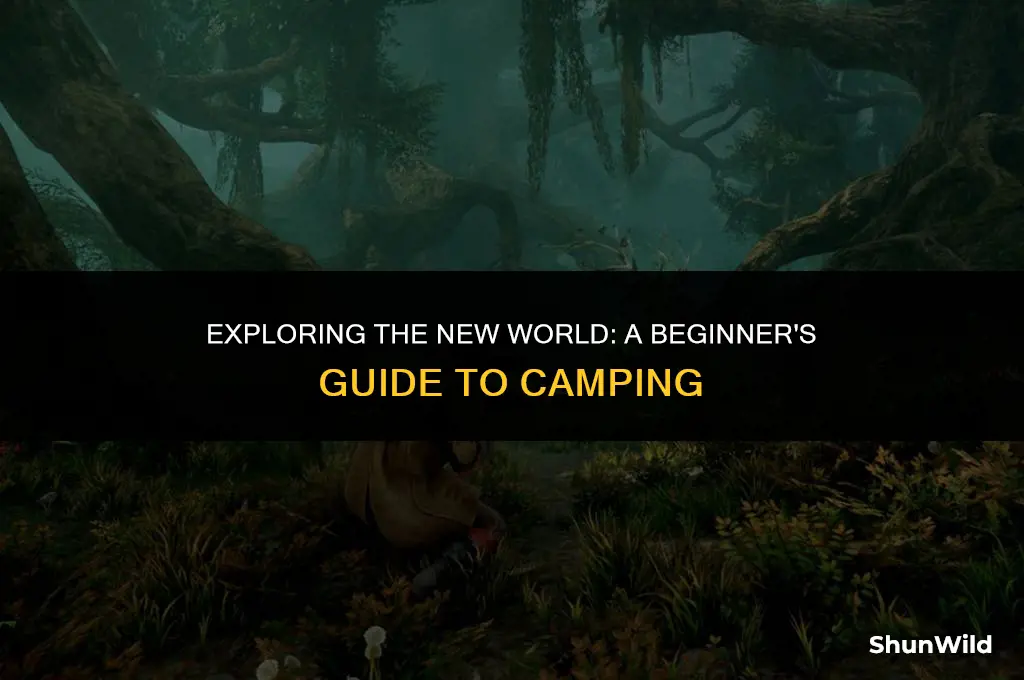 how to camp in new world