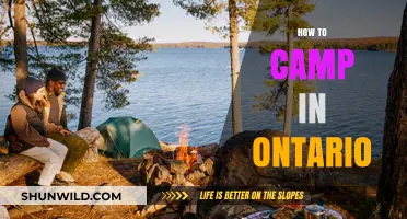 Essential Tips for Camping in Ontario's Great Outdoors