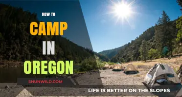 Oregon Camping Guide: Tips for an Unforgettable Outdoor Adventure