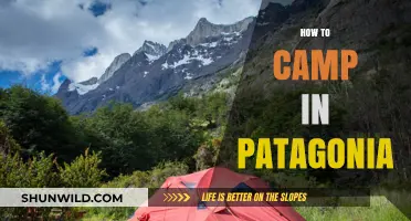 Ultimate Guide to Camping in Patagonia: Tips, Gear, and Adventures