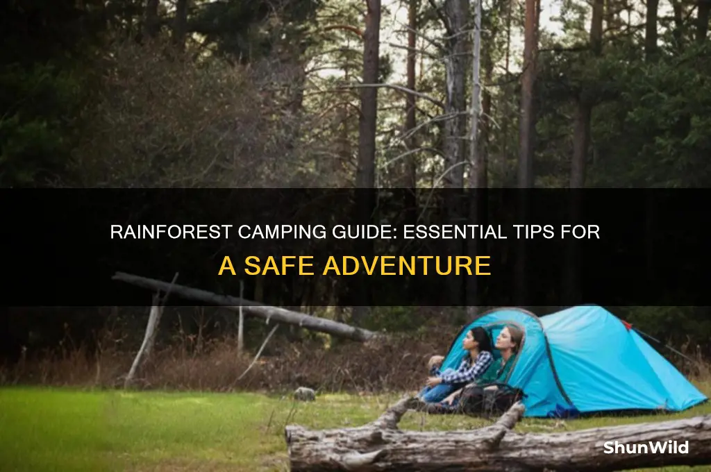 how to camp in rainforest