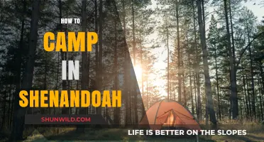 Camping in Shenandoah: Essential Tips for an Unforgettable Outdoor Adventure