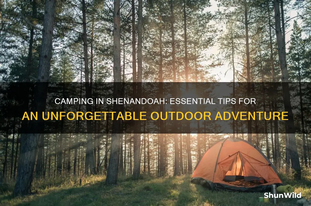 how to camp in shenandoah