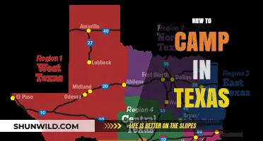 Ultimate Guide to Camping in Texas: Tips, Locations, and Essentials