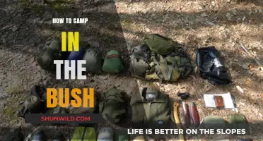 Embracing the Wild: A Beginner's Guide to Bush Camping
