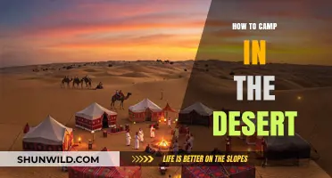Desert Camping 101: Essential Tips for a Safe and Memorable Adventure