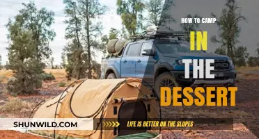 Mastering Desert Camping: Tips for an Unforgettable Adventure