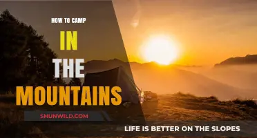 Embracing the Heights: A Beginner's Guide to Mountain Camping