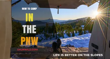 Embracing the Pacific Northwest: A Beginner's Guide to Camping in the PNW