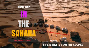 Embracing the Desert: A Beginner's Guide to Camping in the Sahara