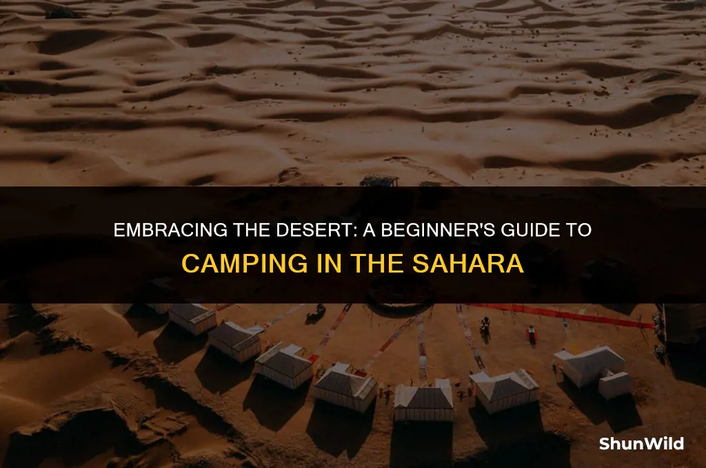 how to camp in the sahara