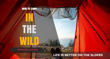 Embracing the Wilderness: A Beginner's Guide to Solo Camping