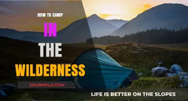 Embracing the Wild: A Beginner's Guide to Wilderness Camping