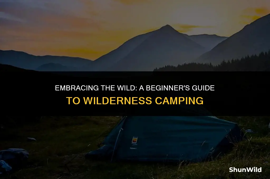 how to camp in the wilderness