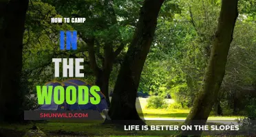Embracing Nature: A Beginner's Guide to Woodland Camping