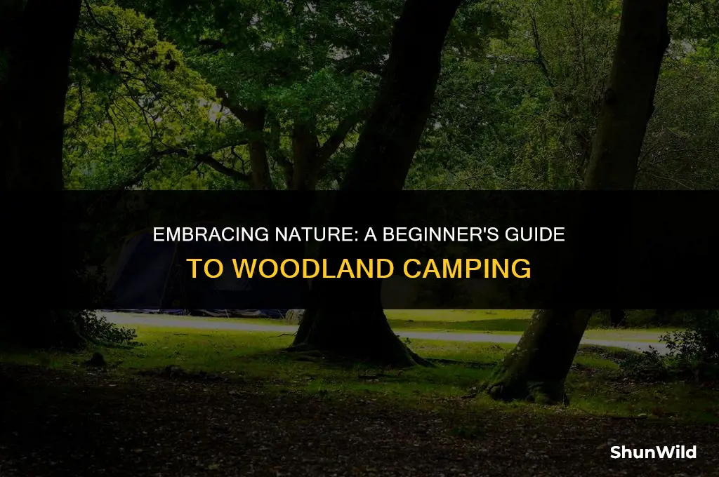 how to camp in the woods