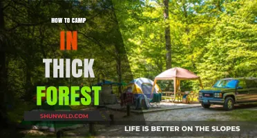 Exploring the Wilderness: A Guide to Camping in Dense Forests