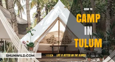 Ultimate Guide to Camping in Tulum: Tips, Spots, and Essentials
