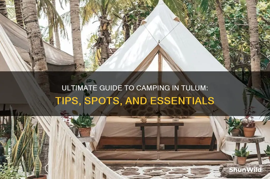 how to camp in tulum