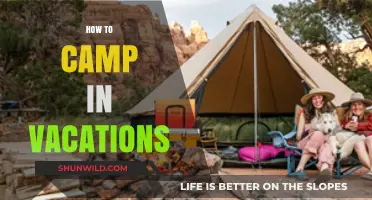 Ultimate Vacation Camping Guide: Tips for a Perfect Outdoor Adventure