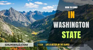 Exploring the Great Outdoors: A Guide to Camping in Washington State