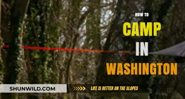 Essential Tips for Camping in Washington's Stunning Outdoor Paradise