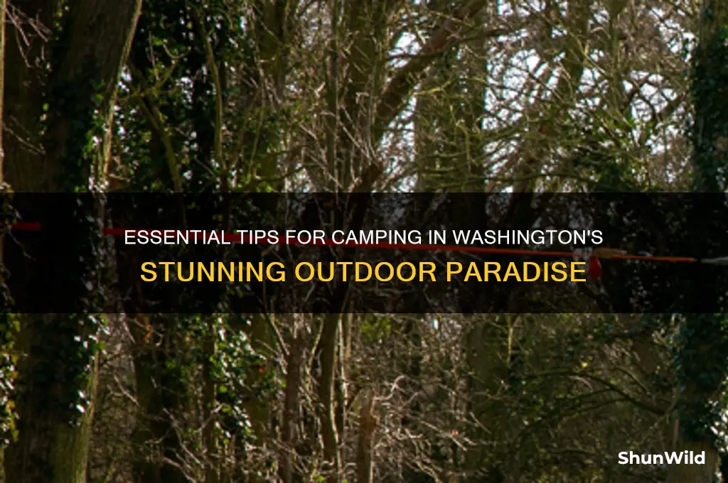 how to camp in washington