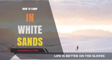 Embracing the Dunes: A Beginner's Guide to Camping in White Sands