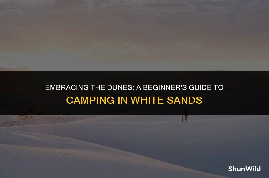 how to camp in white sands