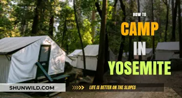 Essential Tips for Camping in Yosemite National Park