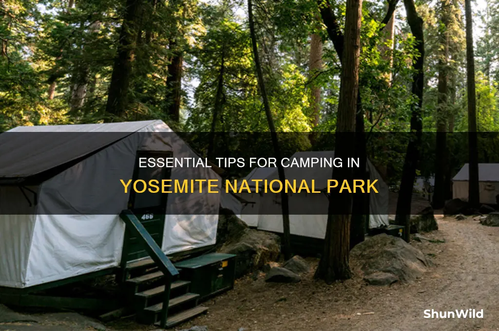 how to camp in yosemite