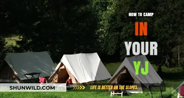 Embracing the Wilderness: A Beginner's Guide to Camping in Your YJ