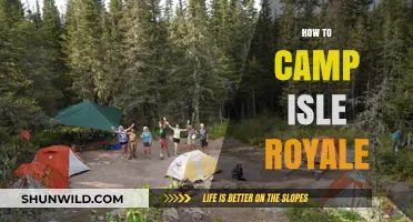 Camping Isle Royale: Essential Tips for an Unforgettable Wilderness Adventure