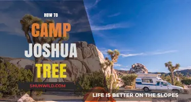 Ultimate Guide to Camping in Joshua Tree National Park