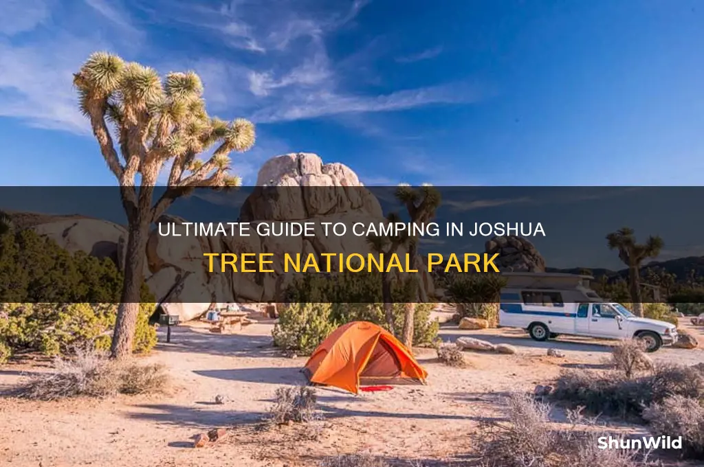 how to camp joshua tree