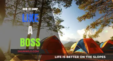 Master the Great Outdoors: Camping Tips for the Ultimate Adventure