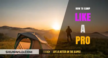 Master the Great Outdoors: Pro Tips for Unforgettable Camping Adventures