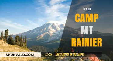 Ultimate Guide to Camping Mount Rainier: Tips, Trails, and Essentials