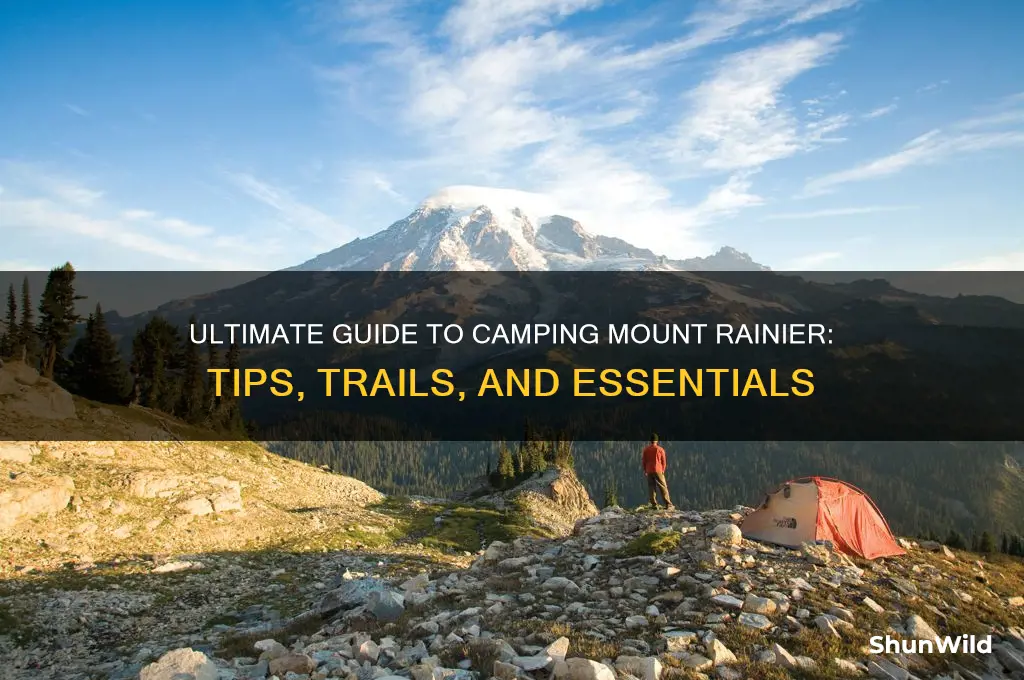 how to camp mt rainier