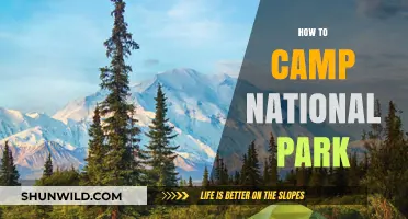 Ultimate Guide to Camping in National Parks: Tips & Essentials