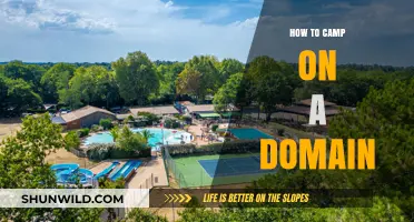 Mastering the Art of Domain Camping: A Beginner's Guide