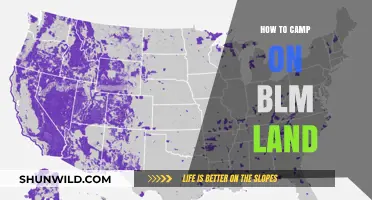 Exploring the Great Outdoors: A Guide to Camping on BLM Land