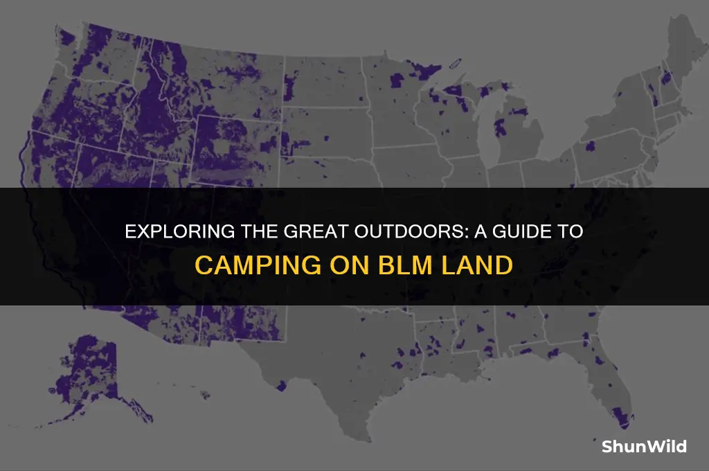how to camp on blm land